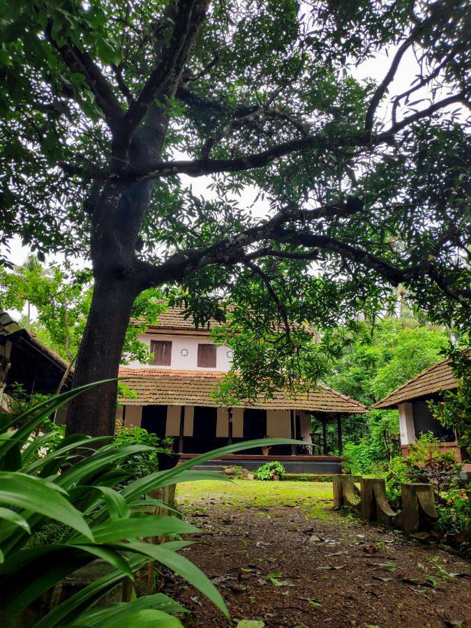 Вилла Meadows Thrissur Экстерьер фото